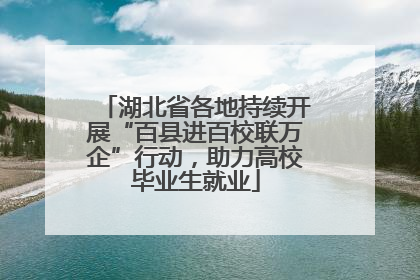 湖北省各地持续开展“百县进百校联万企”行动，助力高校毕业生就业