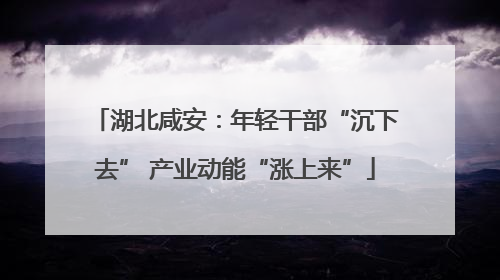湖北咸安：年轻干部“沉下去” 产业动能“涨上来”