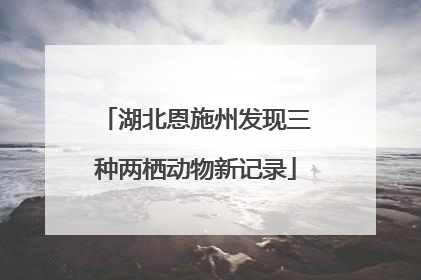 湖北恩施州发现三种两栖动物新记录
