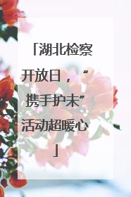 湖北检察开放日，“携手护未”活动超暖心