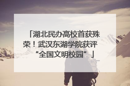 湖北民办高校首获殊荣！武汉东湖学院获评“全国文明校园”
