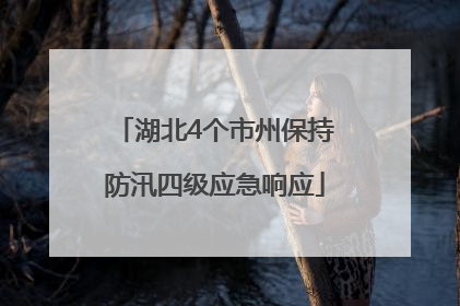 湖北4个市州保持防汛四级应急响应