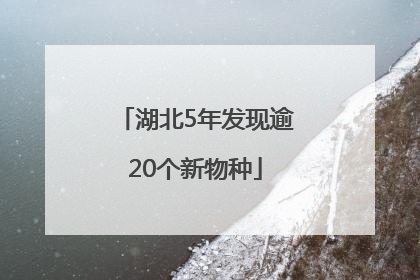 湖北5年发现逾20个新物种