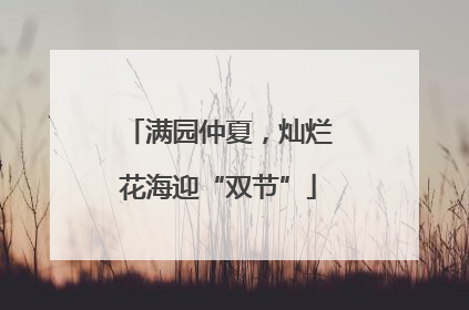 满园仲夏，灿烂花海迎“双节”