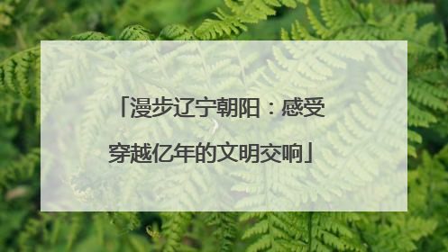 漫步辽宁朝阳：感受穿越亿年的文明交响
