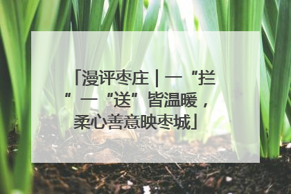 漫评枣庄｜一“拦”一“送”皆温暖，柔心善意映枣城