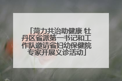 菏力共治助健康 牡丹区省派第一书记和工作队邀请省妇幼保健院专家开展义诊活动