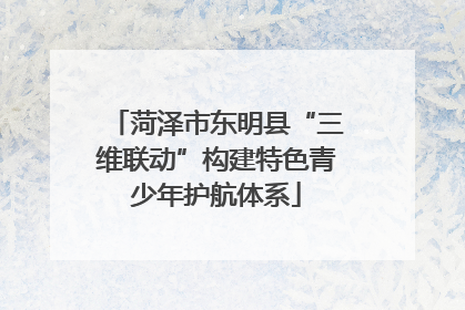菏泽市东明县“三维联动”构建特色青少年护航体系