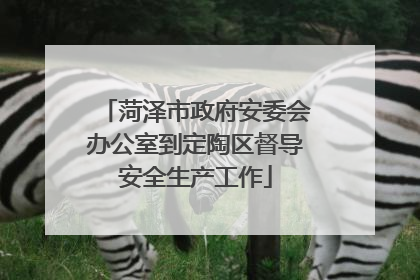 菏泽市政府安委会办公室到定陶区督导安全生产工作