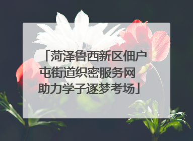 菏泽鲁西新区佃户屯街道织密服务网 助力学子逐梦考场