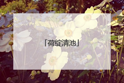 荷绽清池