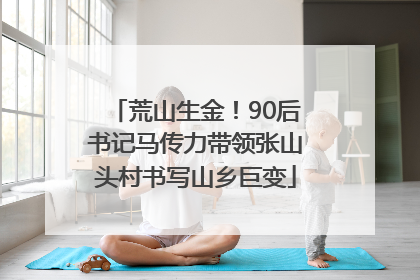 荒山生金！90后书记马传力带领张山头村书写山乡巨变