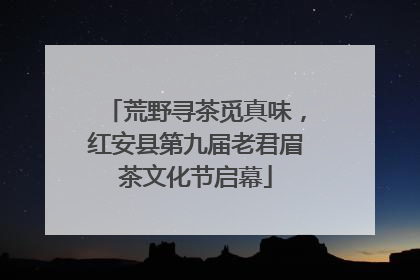 荒野寻茶觅真味，红安县第九届老君眉茶文化节启幕