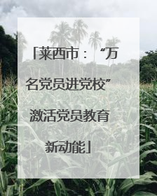 莱西市：“万名党员进党校” 激活党员教育新动能