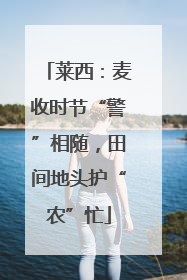 莱西：麦收时节“警”相随，田间地头护“农”忙