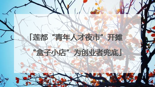 莲都“青年人才夜市”开摊 “盒子小店”为创业者兜底
