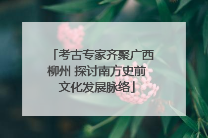 考古专家齐聚广西柳州 探讨南方史前文化发展脉络