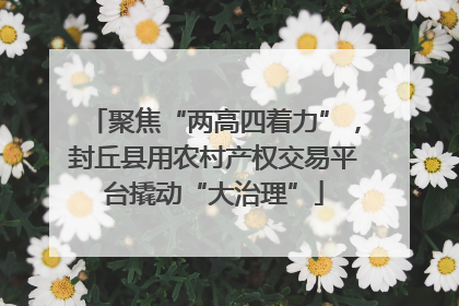 聚焦“两高四着力”，封丘县用农村产权交易平台撬动“大治理”