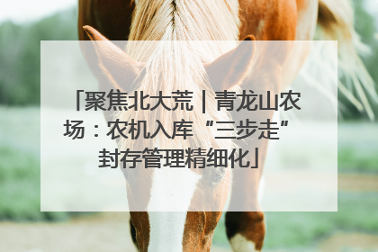 聚焦北大荒｜青龙山农场：农机入库“三步走” 封存管理精细化