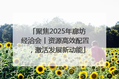 聚焦2025年廊坊经洽会丨资源高效配置，激活发展新动能