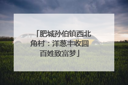 肥城孙伯镇西北角村：洋葱丰收圆百姓致富梦