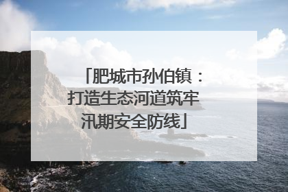 肥城市孙伯镇：打造生态河道筑牢汛期安全防线