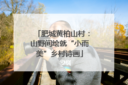肥城黄柏山村：山野间绘就“小而美”乡村诗画