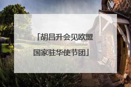 胡昌升会见欧盟国家驻华使节团