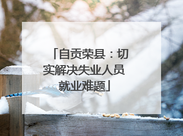 自贡荣县：切实解决失业人员就业难题