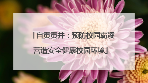 自贡贡井：预防校园霸凌 营造安全健康校园环境