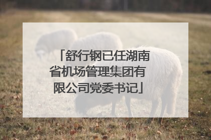 舒行钢已任湖南省机场管理集团有限公司党委书记