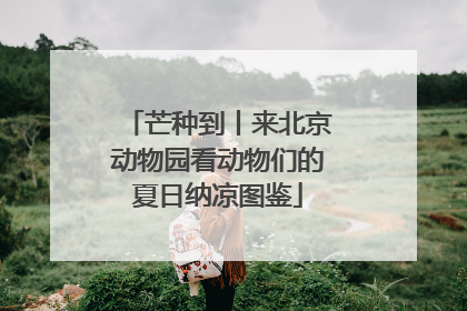芒种到丨来北京动物园看动物们的夏日纳凉图鉴