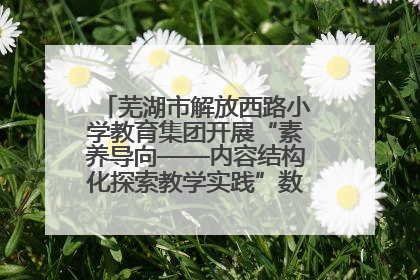 芜湖市解放西路小学教育集团开展“素养导向——内容结构化探索教学实践”数学专题研讨活动