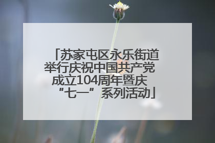 苏家屯区永乐街道举行庆祝中国共产党成立104周年暨庆“七一”系列活动