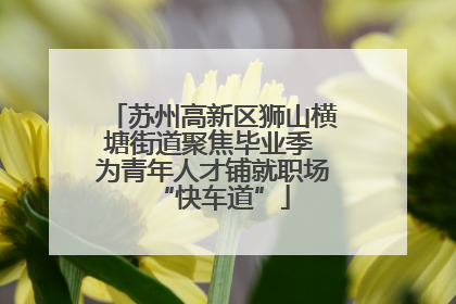 苏州高新区狮山横塘街道聚焦毕业季 为青年人才铺就职场“快车道”