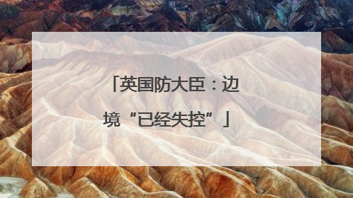 英国防大臣：边境“已经失控”