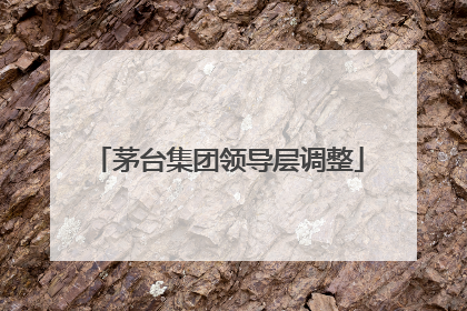 茅台集团领导层调整