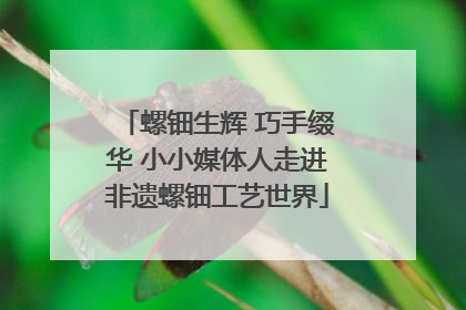 螺钿生辉 巧手缀华 小小媒体人走进非遗螺钿工艺世界