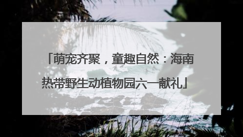 萌宠齐聚，童趣自然：海南热带野生动植物园六一献礼