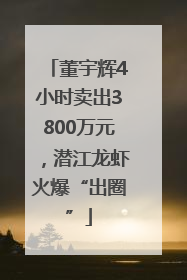 董宇辉4小时卖出3800万元，潜江龙虾火爆“出圈”
