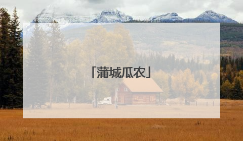 蒲城瓜农