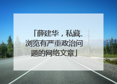 薛建华，私藏、浏览有严重政治问题的网络文章
