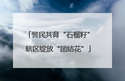 警民共育“石榴籽” 辖区绽放“团结花”