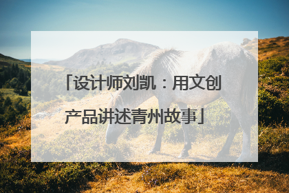 设计师刘凯：用文创产品讲述青州故事