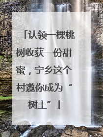 认领一棵桃树收获一份甜蜜，宁乡这个村邀你成为“树主”