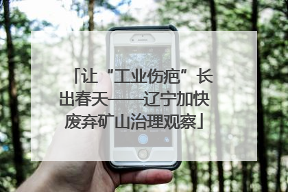让“工业伤疤”长出春天——辽宁加快废弃矿山治理观察