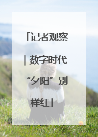 记者观察｜数字时代“夕阳”别样红
