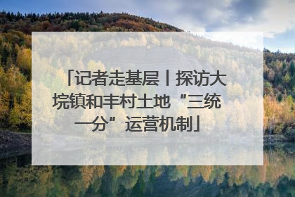 记者走基层丨探访大垸镇和丰村土地“三统一分”运营机制