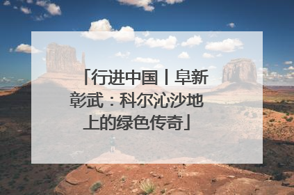 行进中国丨阜新彰武：科尔沁沙地上的绿色传奇
