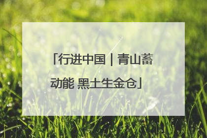 行进中国｜青山蓄动能 黑土生金仓